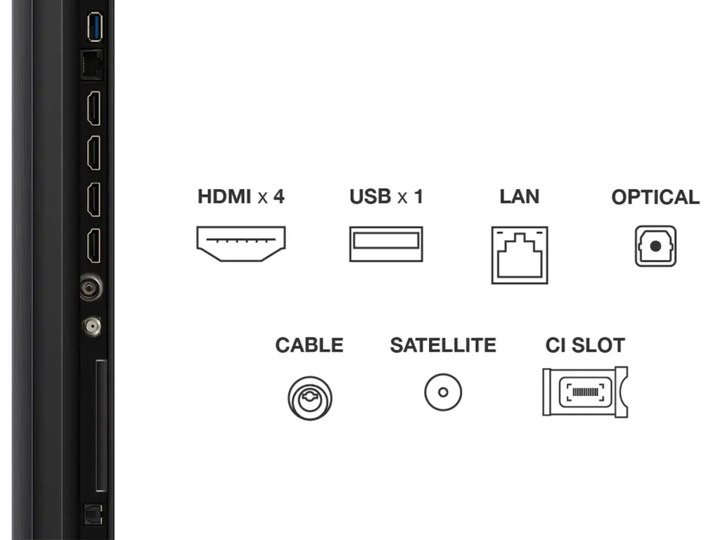 tcl-55-65-75-c6k-connectors.webp