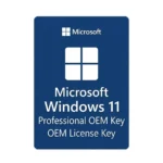 Windows 11 Professional OEM Key