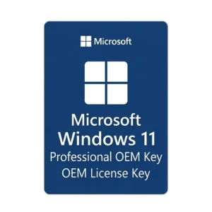 Windows 11 Professional OEM Key