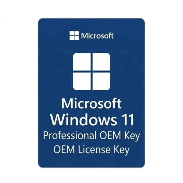 Windows 11 Professional OEM Key