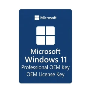Windows 11 Professional OEM Key